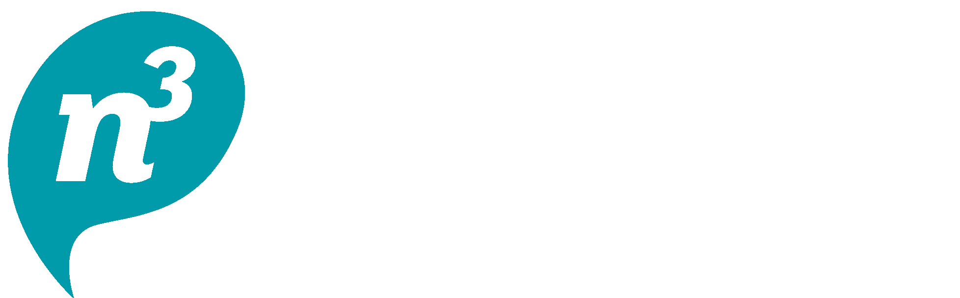 n3 business